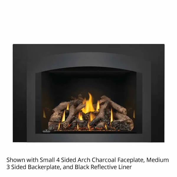 Load image into Gallery viewer, Napoleon Oakville GDIX4 Direct Vent Gas Fireplace Insert
