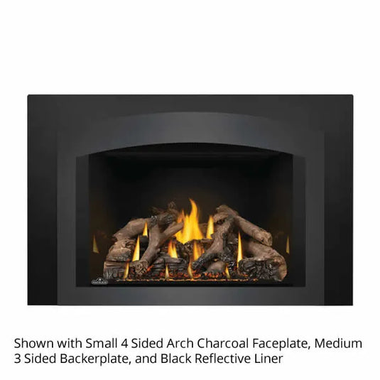 Napoleon Oakville GDIX4 Direct Vent Gas Fireplace Insert