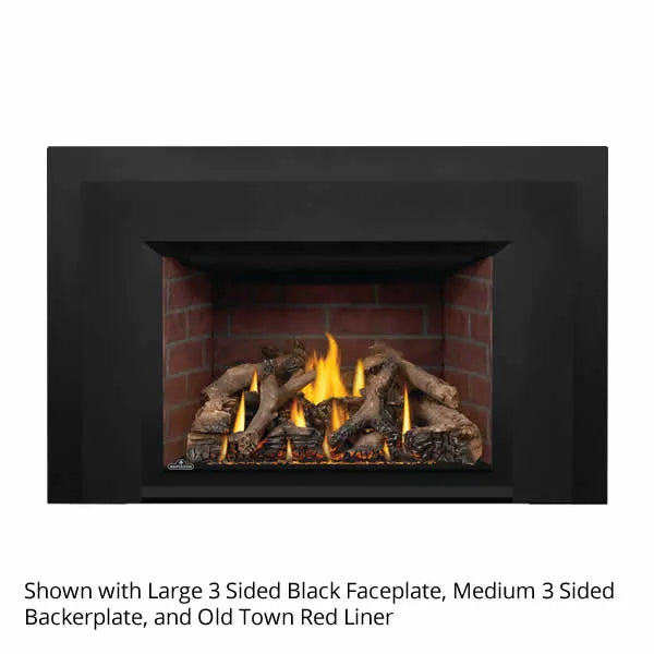 Load image into Gallery viewer, Napoleon Oakville GDIX4 Direct Vent Gas Fireplace Insert
