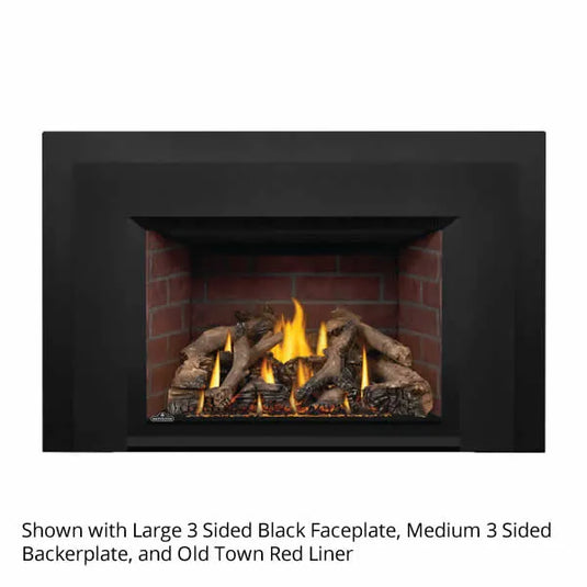 Napoleon Oakville GDIX4 Direct Vent Gas Fireplace Insert