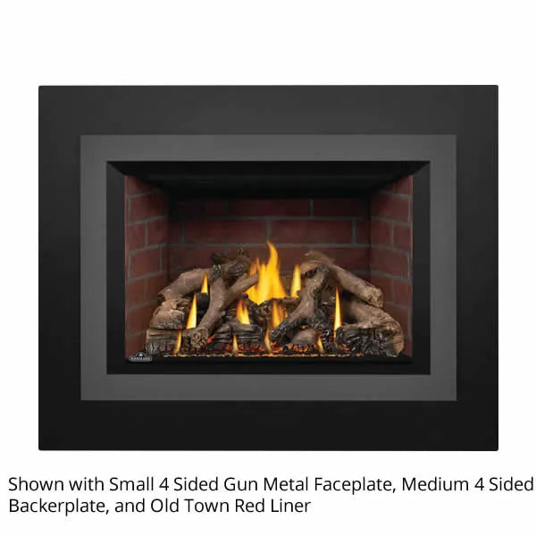 Load image into Gallery viewer, Napoleon Oakville GDIX4 Direct Vent Gas Fireplace Insert
