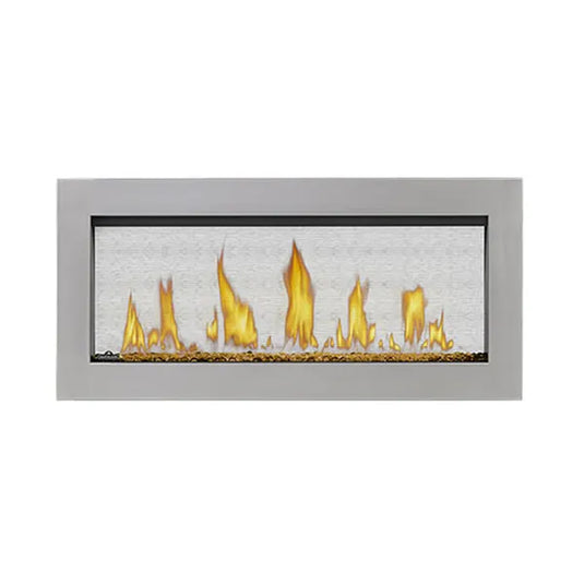 Napoleon LV38 2 Vector 38 See-Thru Direct Vent Gas Fireplace