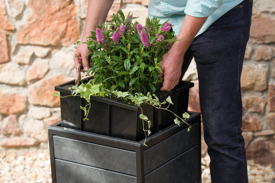 Festavolo FORTE planter box with removable plant insert being placed inside