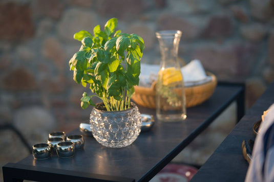 Festavolo FORTE sideboard used as a side table for serving food and drinks with a flowerpot