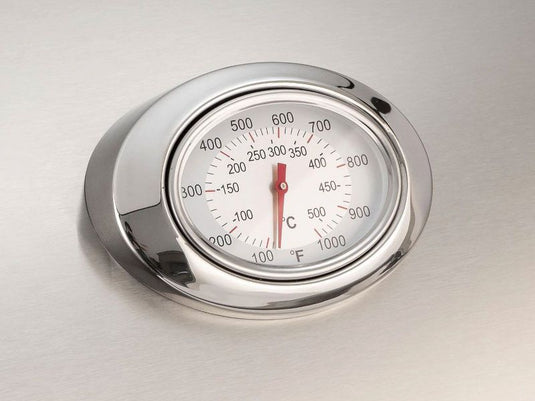 Fire Magic Choice C430s 24 inch gas grill on in ground post with timer stainless steel outdoor grill