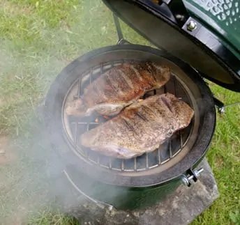 Big Green Egg 10" Mini