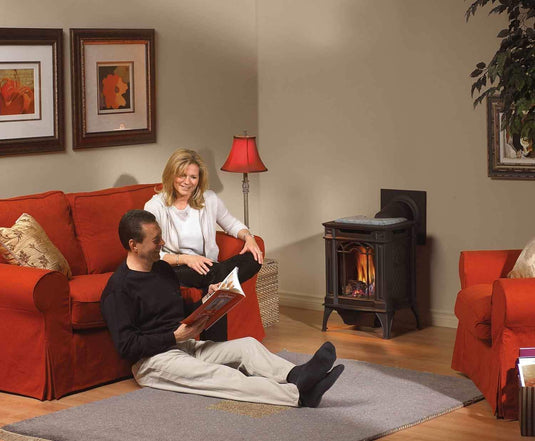 Napoleon Arlington 19" Porcelain Majolica Brown Direct Vent Cast Iron Gas Stove with Millivolt Ignition