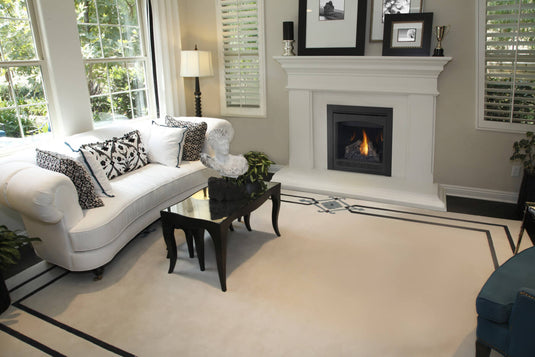 Napoleon B30NTRE-1 Ascent Series Electronic Ignition Direct Vent Gas Fireplace