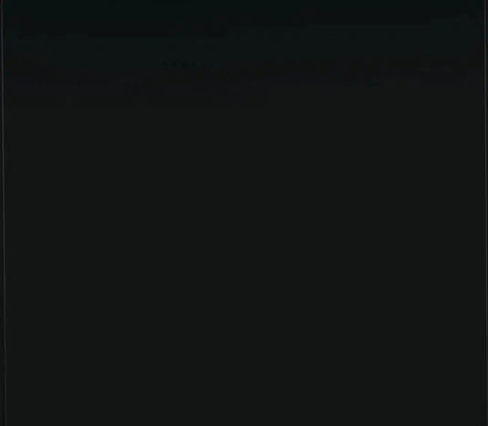 Napoleon Black Mirro-Flame Reflective Porcelain Panel for 42-Inch Altitude Direct Vent Fireplace