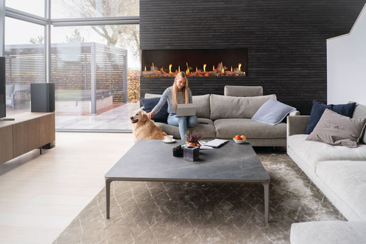 Napoleon Luminex 65 two-sided electric fireplace installed in a modern living room with a woman and dog