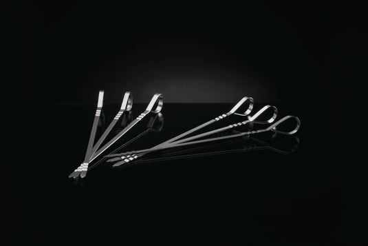 Napoleon Meat Lover’s Starter Kit with stainless steel rib rack, double beer can chicken roaster, skewers, and button thermometers for grilling