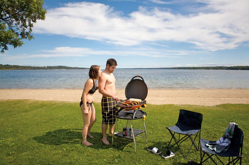 Load image into Gallery viewer, Napoleon TQ2225PO TravelQ™ Stand designed exclusively for TravelQ™ 2225 Portable Gas Grill
