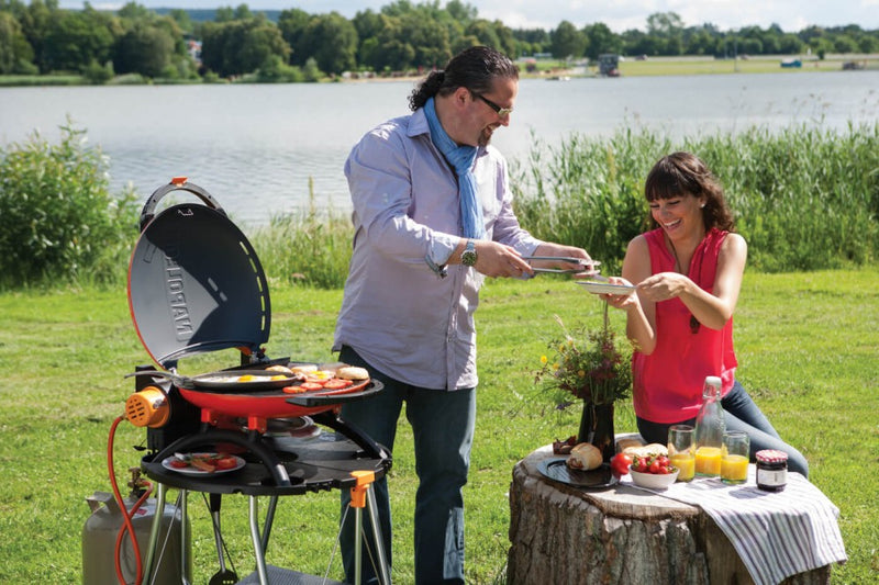 Load image into Gallery viewer, Napoleon TQ2225PO TravelQ™ Stand designed exclusively for TravelQ™ 2225 Portable Gas Grill
