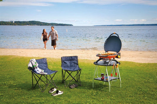 Napoleon TQ2225PO TravelQ™ Stand designed exclusively for TravelQ™ 2225 Portable Gas Grill