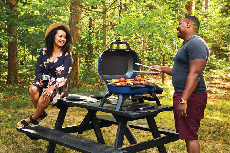 Load image into Gallery viewer, Napoleon TravelQ 240 Portable Gas Grill with 1 Burner – Compact Propane BBQ for Outdoor Cooking
