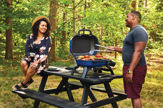 Napoleon TravelQ 240 Portable Gas Grill with 1 Burner – Compact Propane BBQ for Outdoor Cooking