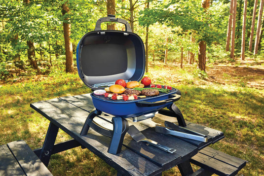 Napoleon TravelQ 240 Portable Gas Grill with 1 Burner on a picnic table in a forest setting 