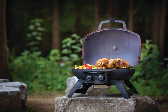 Napoleon TravelQ 285 Red Portable Gas Grill with Griddle – 2 Burners with food on a rock in a forest setting