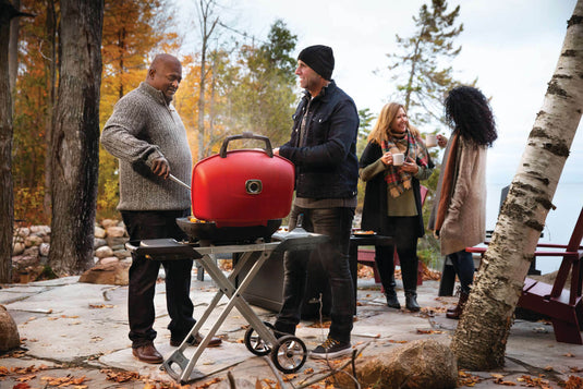 Napoleon TravelQ 285X red portable propane gas grill with scissor cart and reversible cast iron griddle, featuring 2 burners for versatile outdoor cooking
