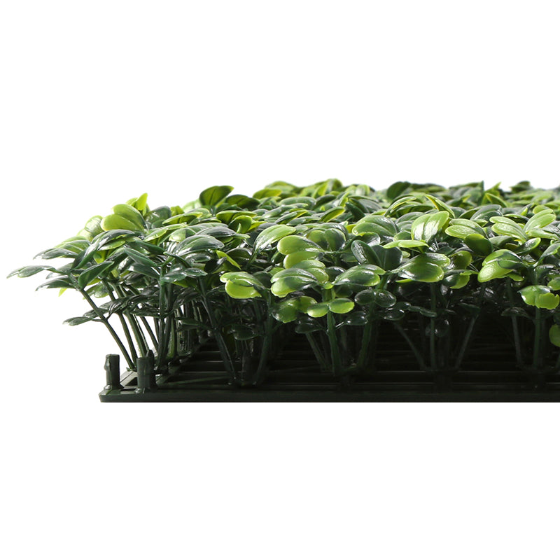 Load image into Gallery viewer, Sun Turf Hedge Plant Milan Light Green D4
