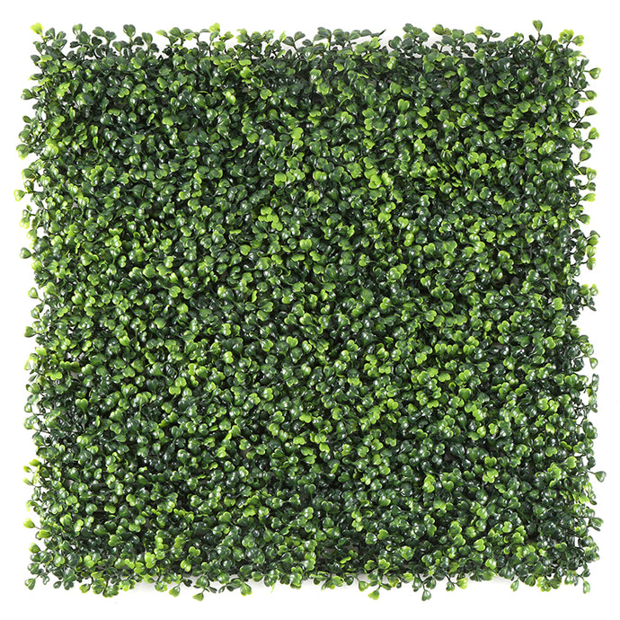 Sun Turf Hedge Plant Milan Light Green D4