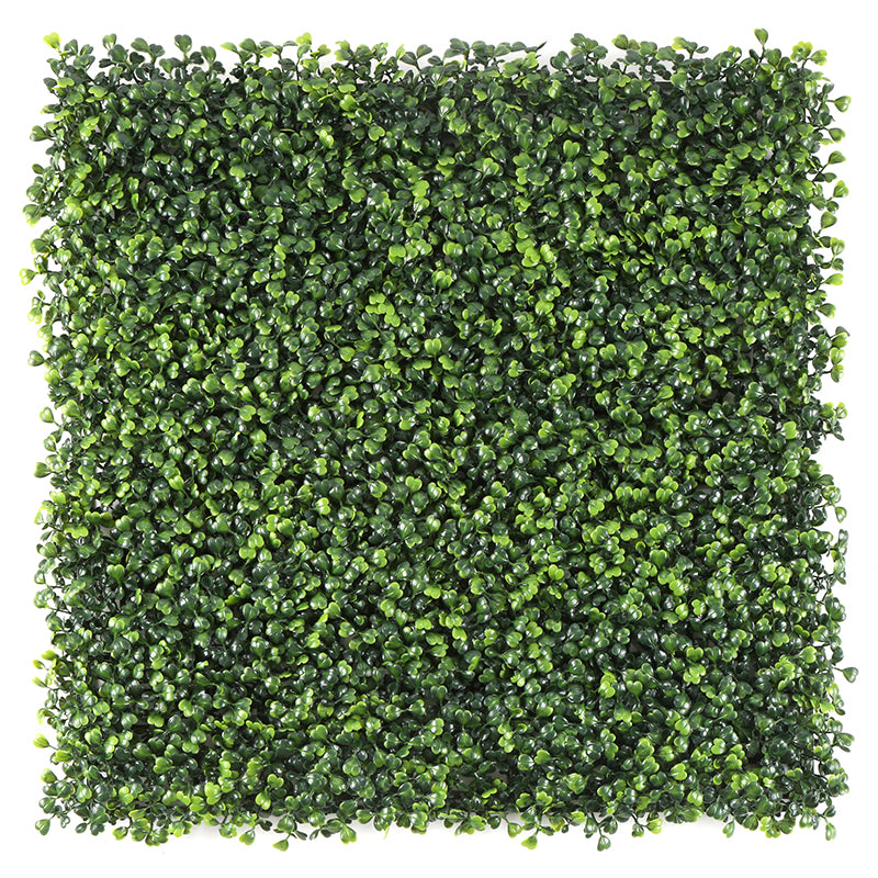 Load image into Gallery viewer, Sun Turf Hedge Plant Milan Light Green D4
