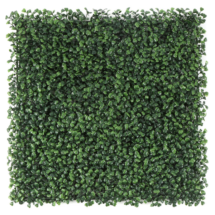 Sun Turf Hedge Plant Milan Dark Green D3