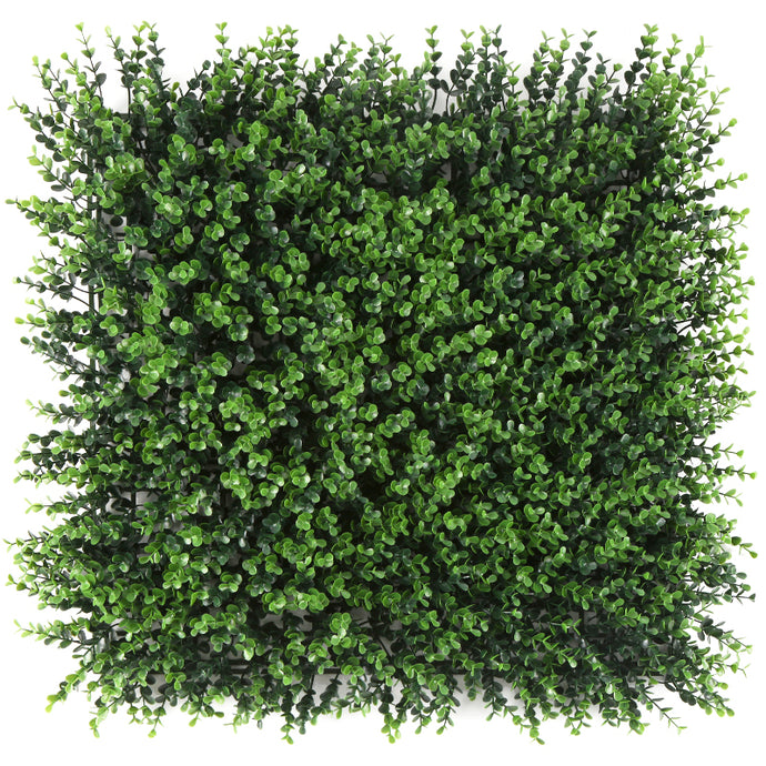 Sun Turf Hedge Plant Eucalyptus Light Green D5