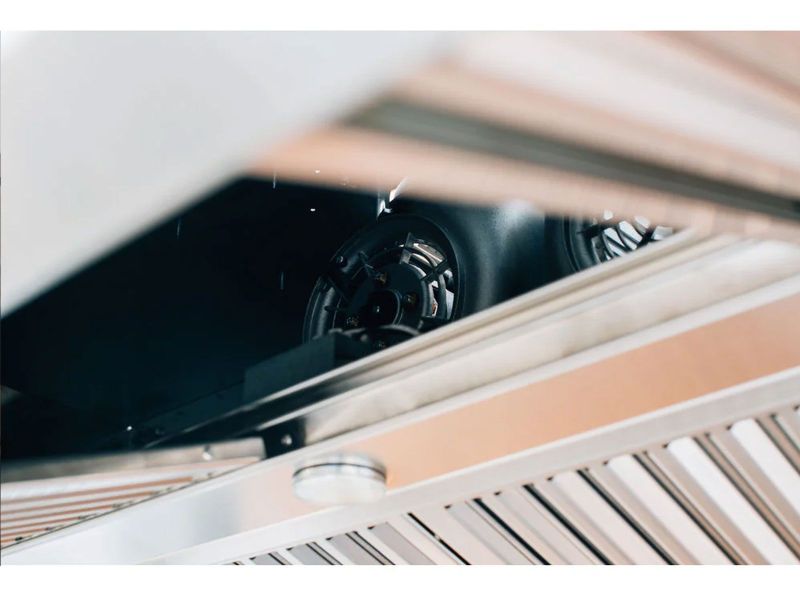 Load image into Gallery viewer, TrueFlame 42-Inch Stainless Steel Outdoor Rated 2000 CFM Vent Hood for Outdoor Kitchens
